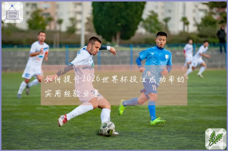 如何提升2026世界杯投注成功率的实用经验分享
