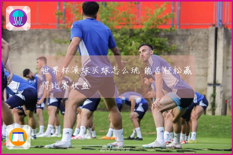 世界杯滚球买球怎么玩 能否轻松赢得比赛收益