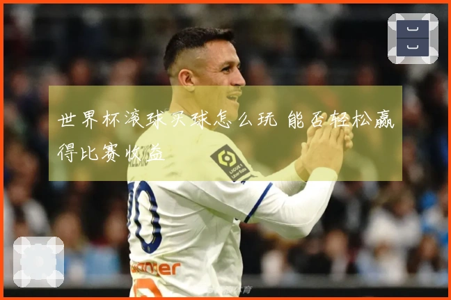 世界杯滚球买球怎么玩 能否轻松赢得比赛收益