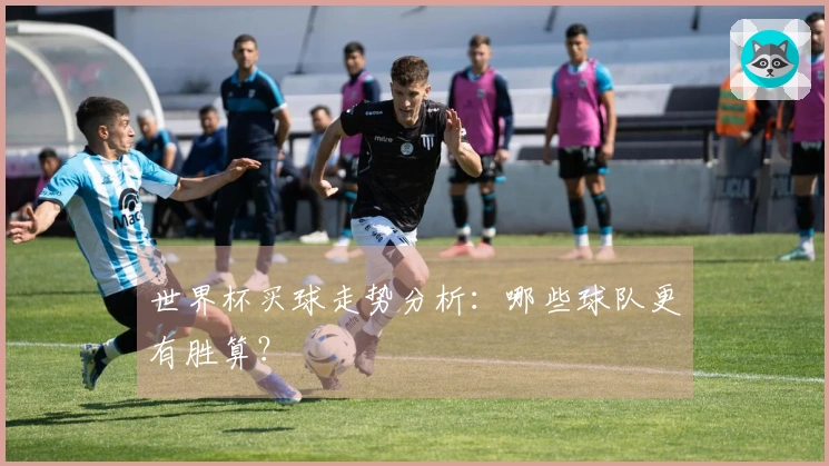 世界杯买球走势分析：哪些球队更有胜算？