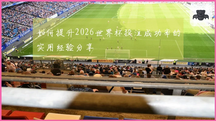 如何提升2026世界杯投注成功率的实用经验分享